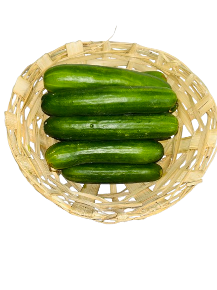 Chinese cucumber