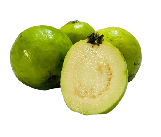 Guava medium