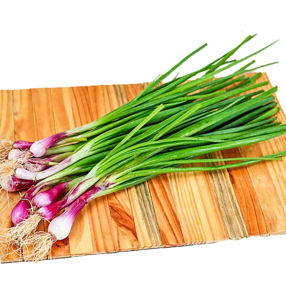 spring onion
